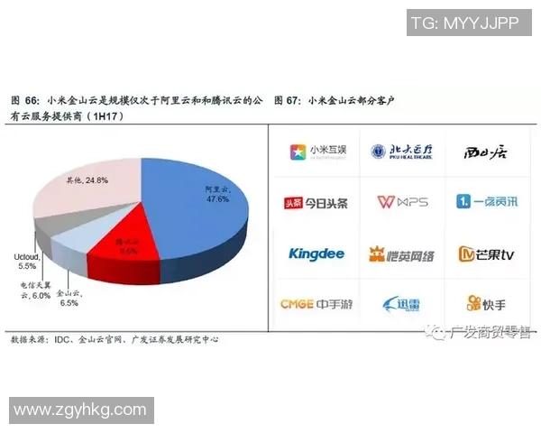 南京飞盘队的成功运营模式与发展策略深度解析