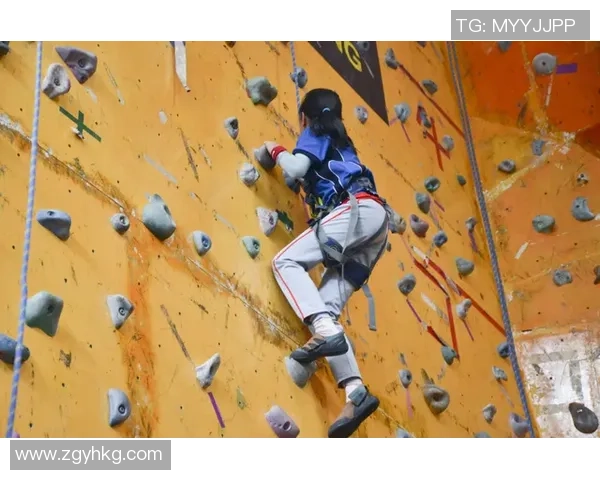 深圳攀岩队运营分析:成功经验与不足之处的深度探讨 深圳攀岩队运营分析:成功经验与不足之处的深度探讨
