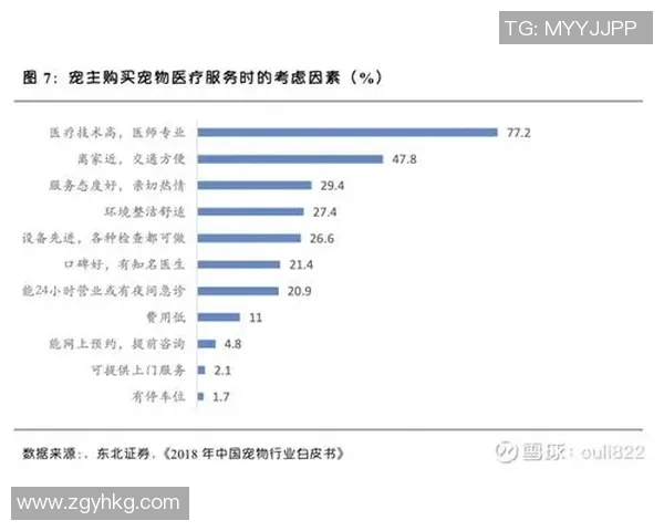 深圳网球队配合策略深度解析与对比分析 深圳网球队配合策略深度解析与对比分析
